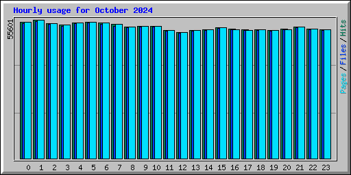 Hourly usage for October 2024