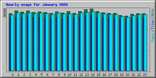 Hourly usage for January 2026